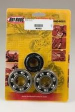  & Oil Seal Kit Crankshaft bearing