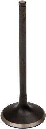  Black Diamond Exhaust valve