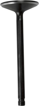  Black Diamond Inlet valve