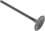  Black Diamond Exhaust valve