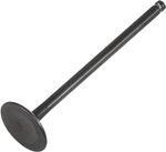  Black Diamond Exhaust valve