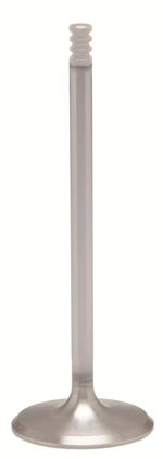  Diamond Exhaust valve