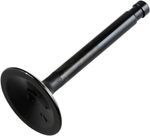  Black Diamond Exhaust valve