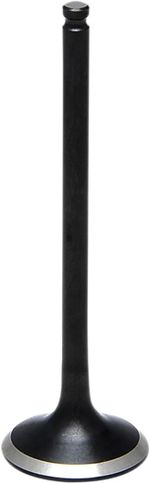  Black Diamond Inlet valve