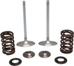 Kit ressort de soupape 09263154