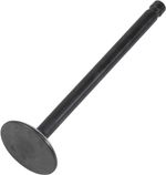  Black Diamond Exhaust valve