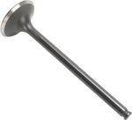  Black Diamond Exhaust valve