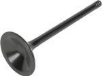  Black Diamond Exhaust valve