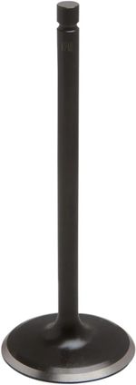  Black Diamond Inlet valve