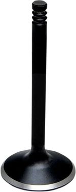  Black Diamond Inlet valve