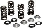  Light Race Valve spring kit