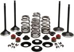  09263220 Valve conversion kit