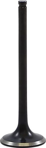  Black Diamond Exhaust valve