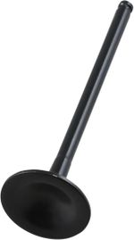  Black Diamond Exhaust valve