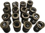  High Performance Springs Valve spring kit