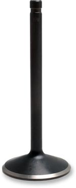  Black Diamond Inlet valve