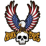 Planche de stickers MINI BORN FREE EAGLE 60x80mm