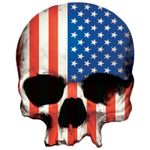 Planche de stickers MINI TETE MORT DRAPEAU USA 60x80mm