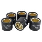 Galets de variateur ROULEAU MAXISCOOTER 19x17 12,0g x6