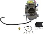  10020080 Carburettor