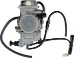  10020100 Carburettor
