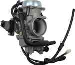 Carburateur 10020103