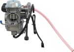  10020087 Carburettor