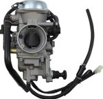  10020102 Carburettor
