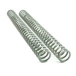  04051377 Fork springs