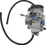 Carburateur 10020091