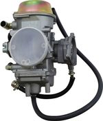  10020110 Carburettor