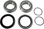  02150234 Wheel bearing kit + oil seals