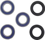  02150240 Wheel bearing kit + oil seals