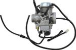  10020096 Carburettor