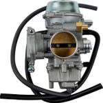  10020129 Carburettor