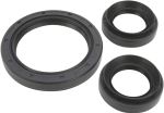  09350419 Differential bearings and seals kit