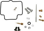  10030560 Carburettor repair kit
