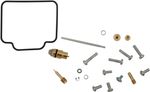  10030562 Carburettor repair kit