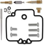  10030598 Carburettor repair kit