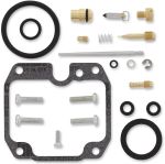  10030600 Carburettor repair kit