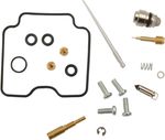  10030604 Carburettor repair kit