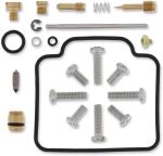 10030671 Carburettor repair kit