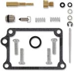  10030677 Carburettor repair kit