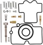  10030689 Carburettor repair kit
