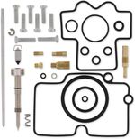  10030704 Carburettor repair kit