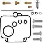  10030711 Carburettor repair kit