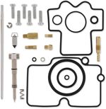  10030713 Carburettor repair kit