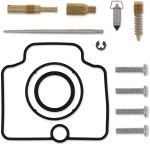  10030720 Carburettor repair kit