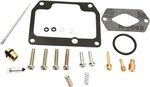  10030721 Carburettor repair kit