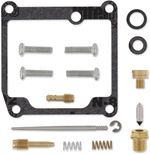  10030723 Carburettor repair kit
